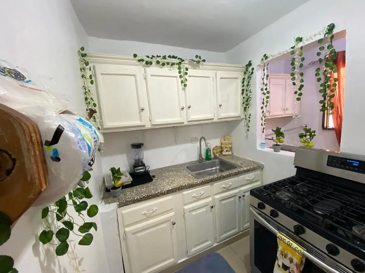 8 Santiago Monumental Area Cozy And Lovely Apartment To Enjoy 3 Bedrooms Apartment Transportation 24 Hours Santiago De Los Caballeros 0*,