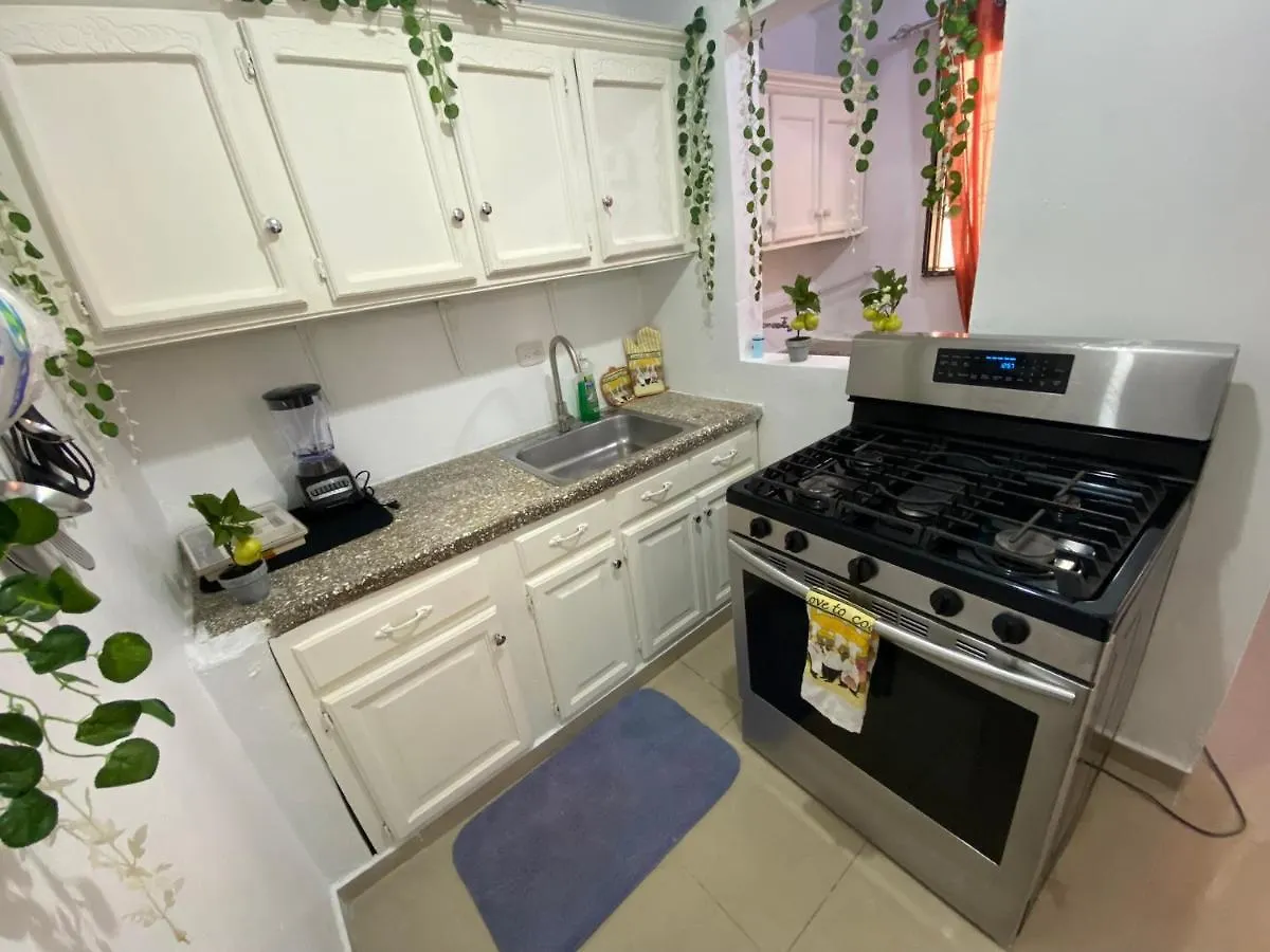 8 Santiago Monumental Area Cozy And Lovely Apartment To Enjoy 3 Bedrooms Apartment Transportation 24 Hours Santiago De Los Caballeros