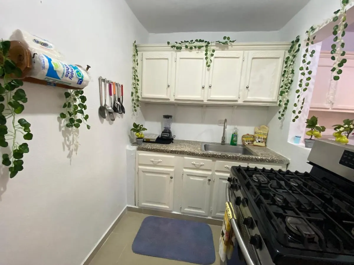 8 Santiago Monumental Area Cozy And Lovely Apartment To Enjoy 3 Bedrooms Apartment Transportation 24 Hours Santiago De Los Caballeros